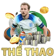 Trực tiếp đá gà chất lượng cao
